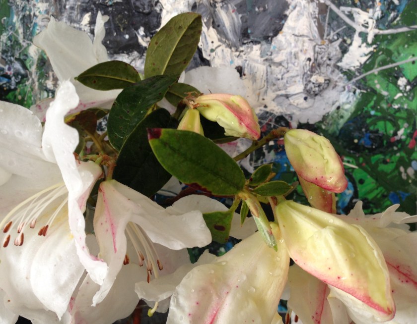 your life, my death2, Vanitas series@bicelapin9